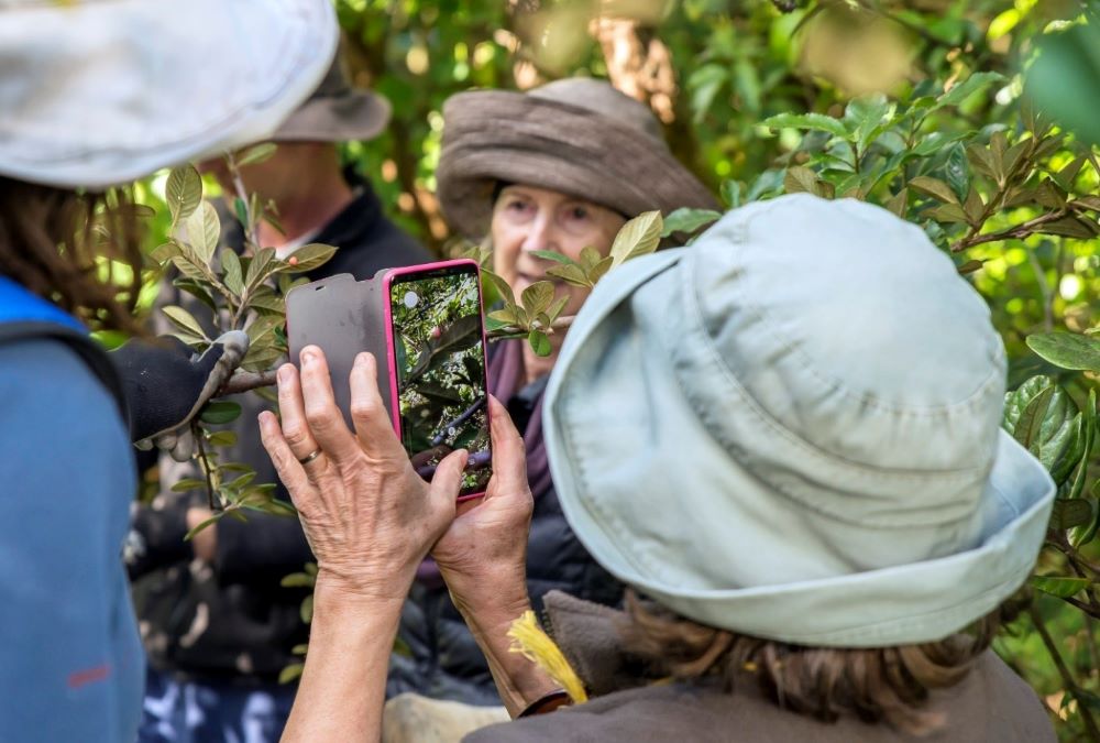 War On Weeds 2 (Credit Malcolm Pullman) (1000)