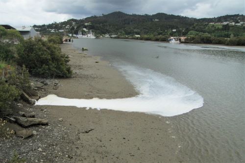 Paint discharging from stormwater drain.