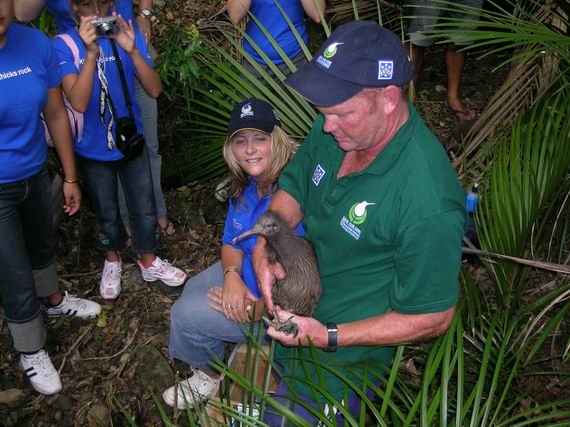 Kiwi being released as part of Operation Nest Egg and the Save the Kiwi initiative. Photograph courtesy of Helen Moodie.