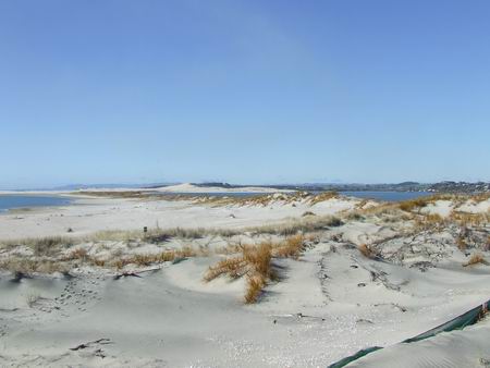 Mangawhai Harbour Restoration Society - Mangawhai Spit 2009. 