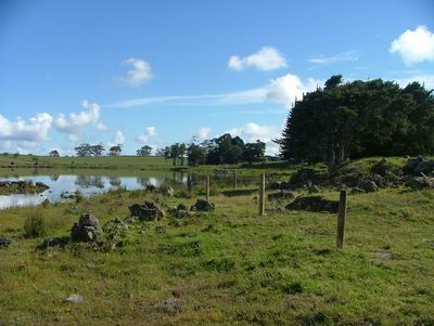 Fencing around Lake Ōmāpere.