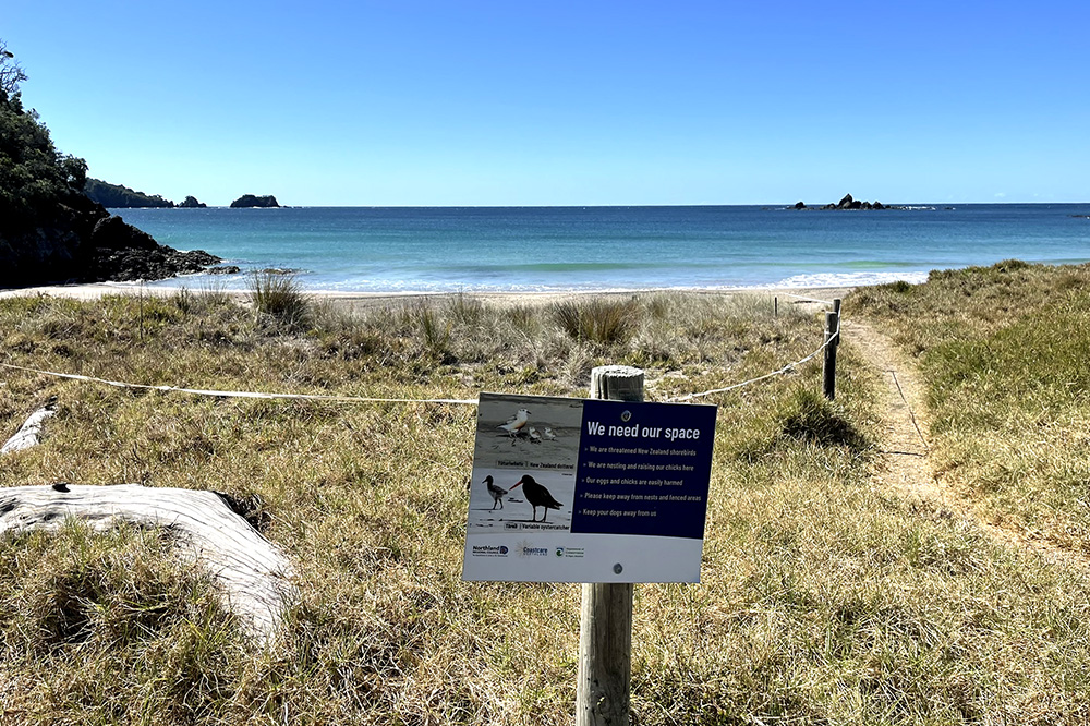 A beach sign saying we need our space, with pictures of shore birds.