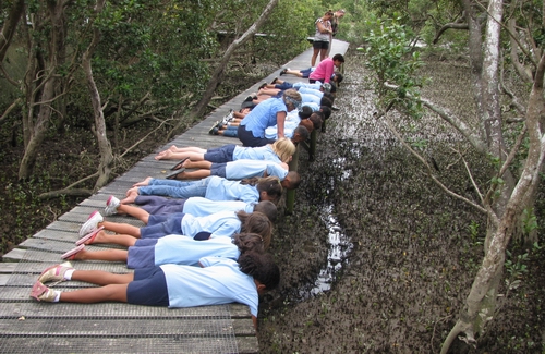 Children laying on a boardwalk to see what's underneath.