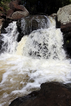 Watergushing over rocks