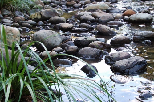 Stones in a river bed.