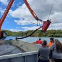 Government funding welcomed in battle against Caulerpa