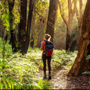 Applications close soon for Tū i te ora Scholarships