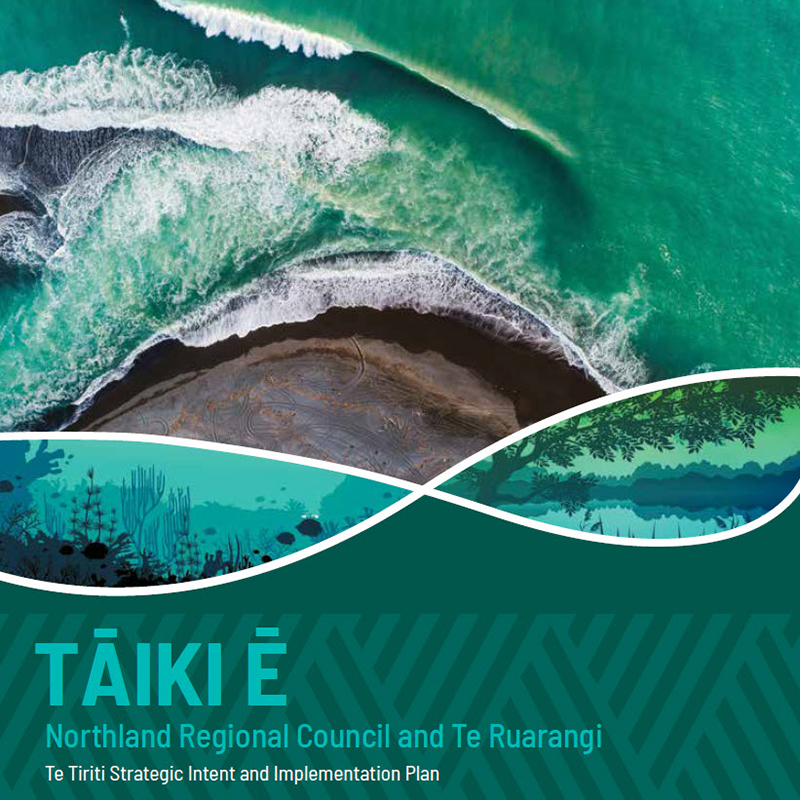 Cover image of the Tāiki-ē strategy and implementation plan.