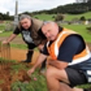Churchyard rabbit plague tackled