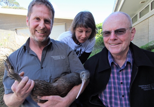 Pete Graham, Ngaire Tyson and Bill Shepherd with a Northland brown kiwi.