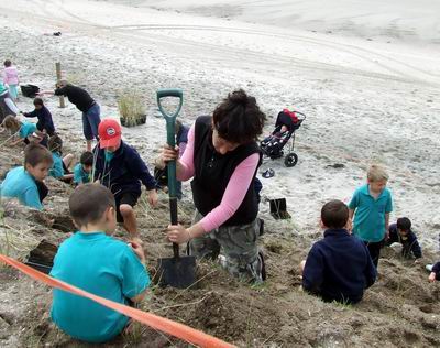 Dune planting day.