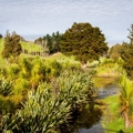 Kaipara Moana Remediation Programme