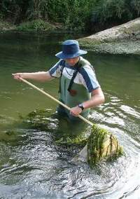 Sampling in Manganui River.