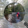Northland Freshwater Fish Monitoring: 2023-2024