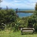 Whangārei Harbour