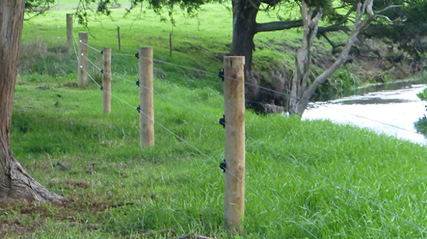 Fenced riparian waterway