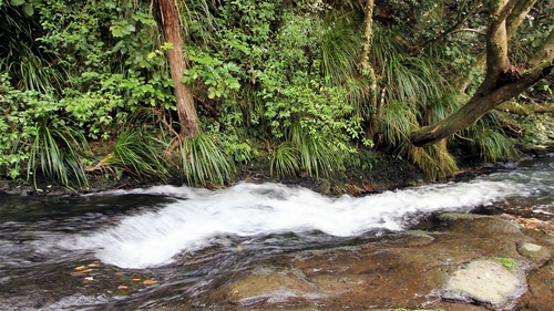 Wairere Falls walk.