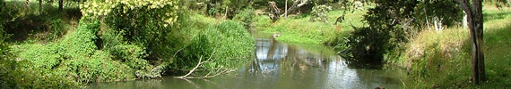 Mangere Stream.