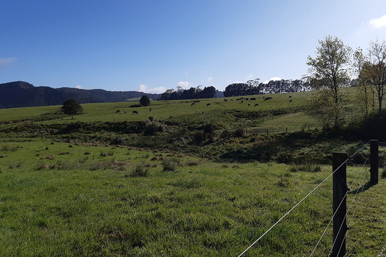 Oromahoe Farm