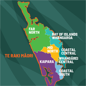 Map of Northland Regional Council constituencies