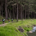 Walking and cycling