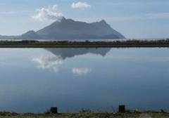 Ruakaka oxidation pond.