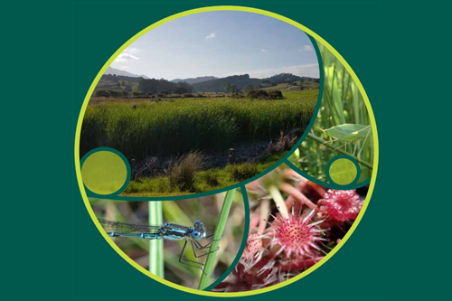 Open 'Looking after your wetland'. (PDF, 1.7MB - opens in a new tab).