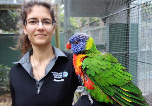 Regional council Biosecurity Officer Ashlee Lawrence with a rainbow lorikeet.