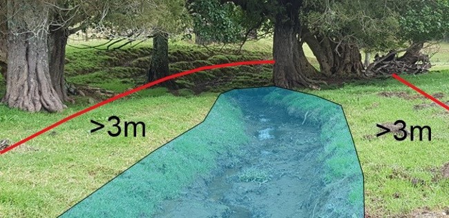 Three metre buffer strip diagram.