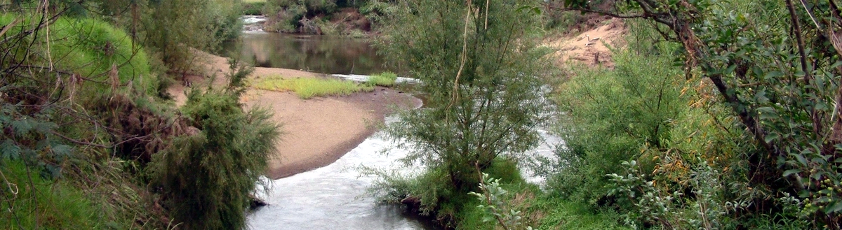 A gravel bar and island are both restricting flow and worsening erosion at this spot on the Waitangi River.