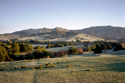 Frost covered farm land.