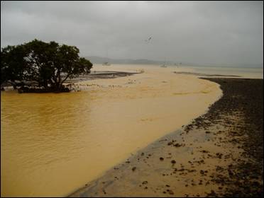 Sediment runoff into Whangarei Harbour.