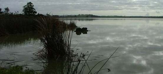 Lake Omapere.