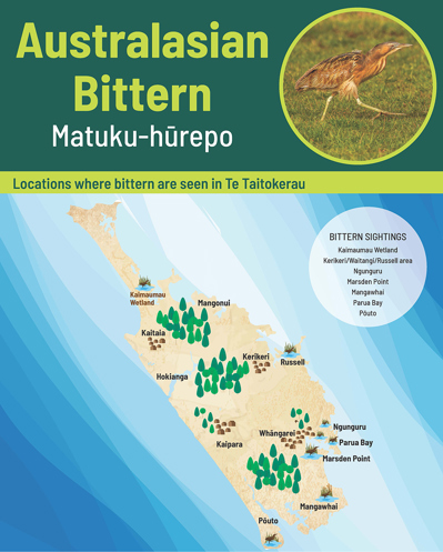 Locations where bittern are seen in Te Taitokerau.
