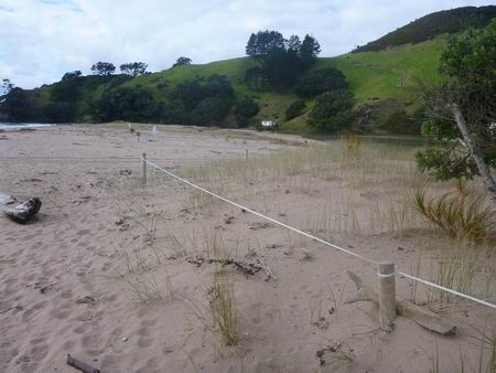 Tauranga Bay Community Association - Tauranga Bay 2013. 