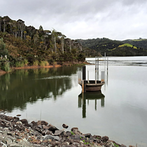 Wilsons Dam full