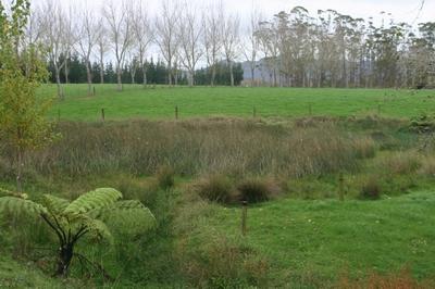 Fenced wetland. 